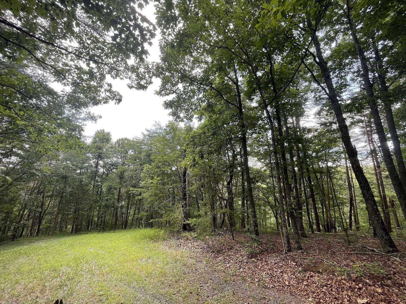 1.56 Acres of Land for Sale in Ranger, Georgia