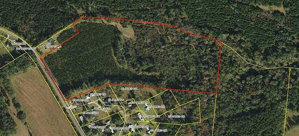 14.1 Acres of Recreational & Residential Land for Sale in Quincy, Florida