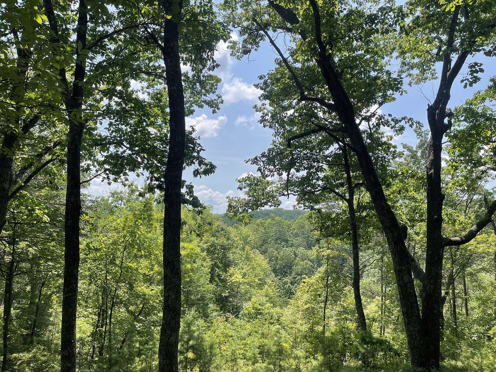 1.25 Acres of Land for Sale in Ranger, Georgia