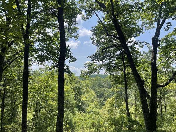 1.25 Acres of Land for Sale in Ranger, Georgia