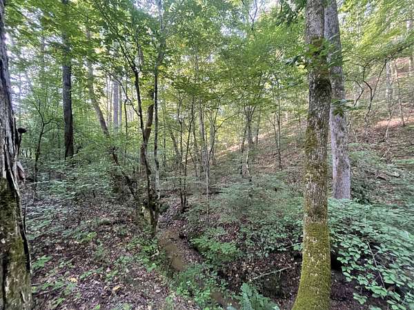 2 Acres of Land for Sale in Ranger, Georgia