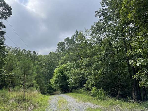 1 Acre of Land for Sale in Ranger, Georgia
