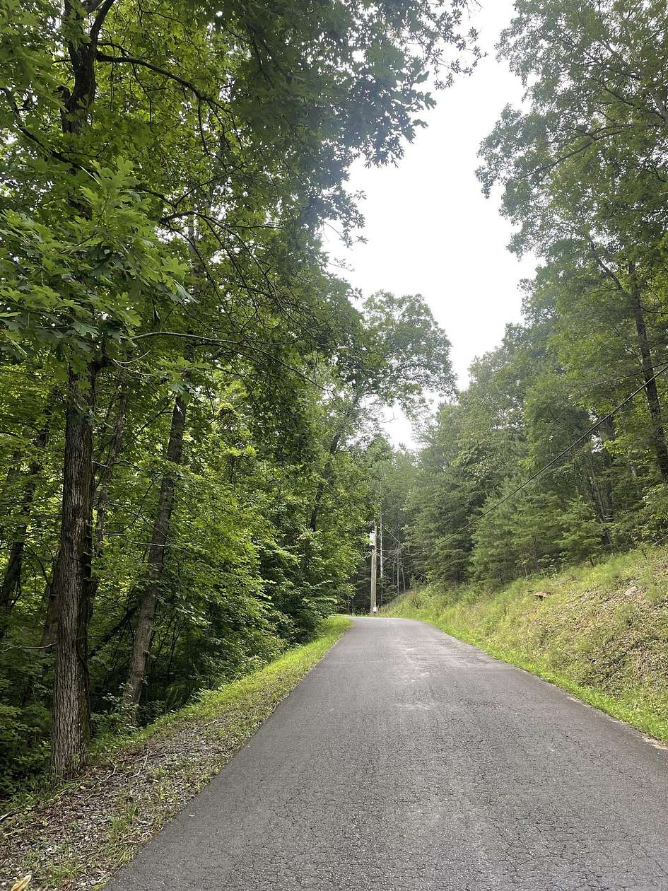 1 Acre of Land for Sale in Ranger, Georgia