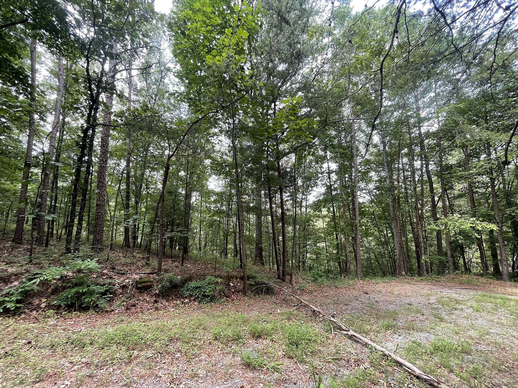 1.53 Acres of Land for Sale in Ranger, Georgia