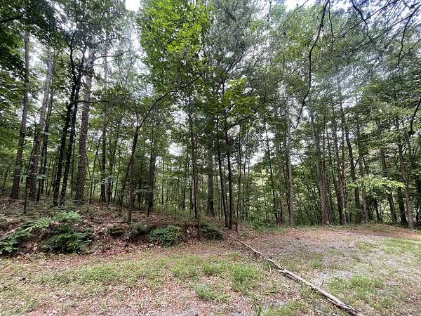 1.53 Acres of Land for Sale in Ranger, Georgia