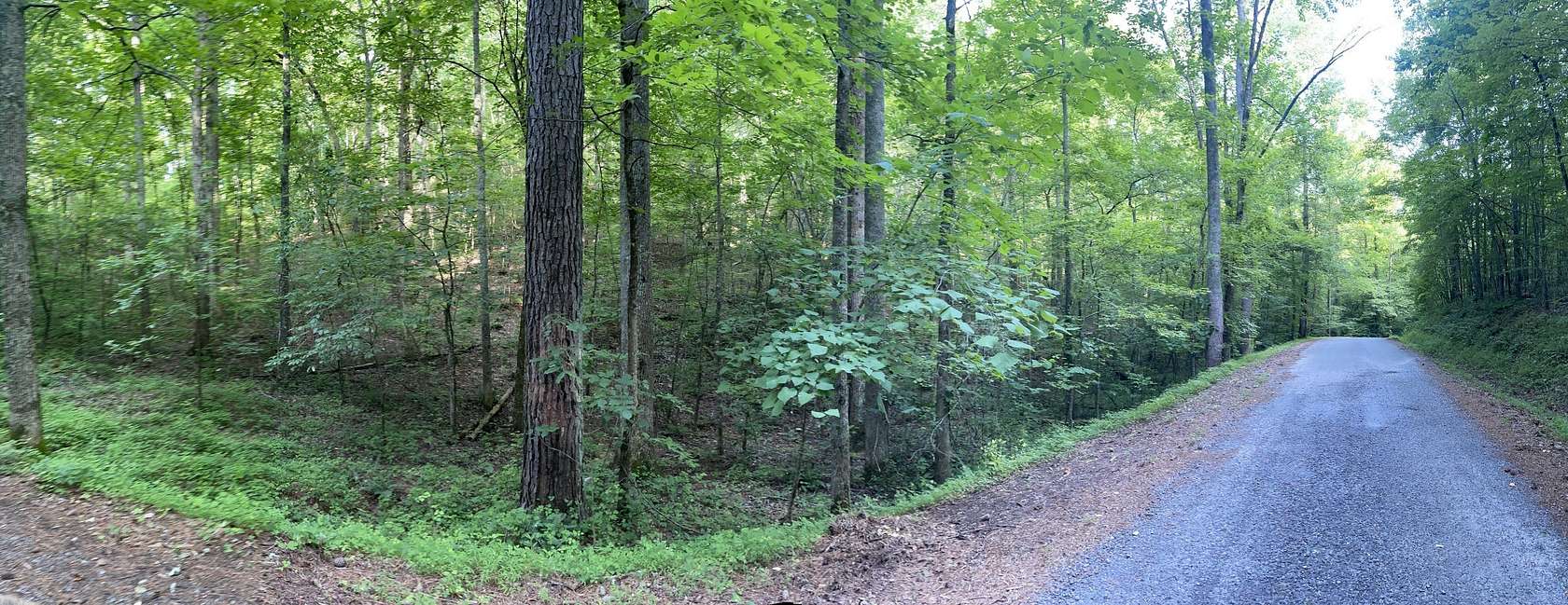 1.7 Acres of Land for Sale in Ranger, Georgia