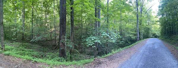 1.7 Acres of Land for Sale in Ranger, Georgia