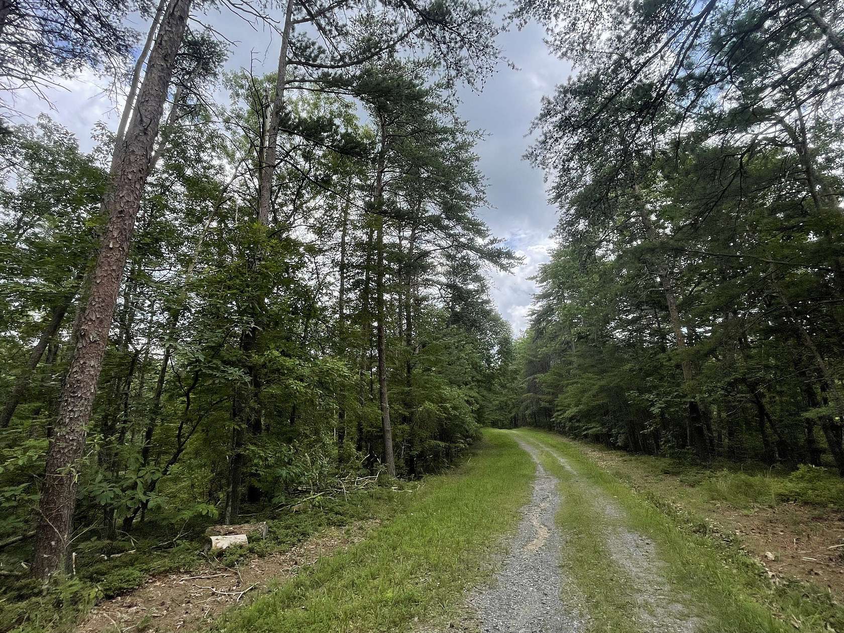 1 Acre of Land for Sale in Ranger, Georgia