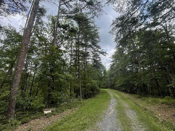 1 Acre of Land for Sale in Ranger, Georgia