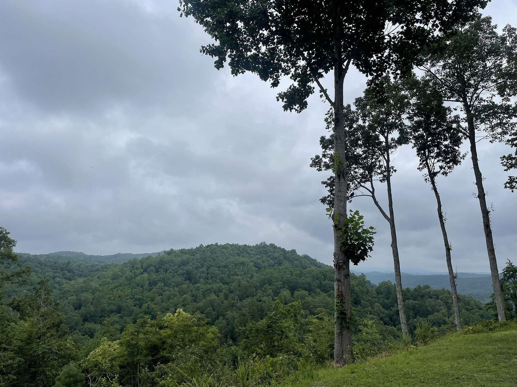 1.57 Acres of Land for Sale in Ranger, Georgia