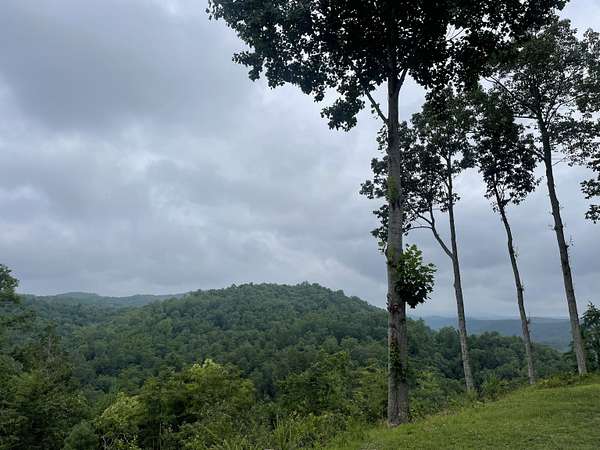 1.57 Acres of Land for Sale in Ranger, Georgia