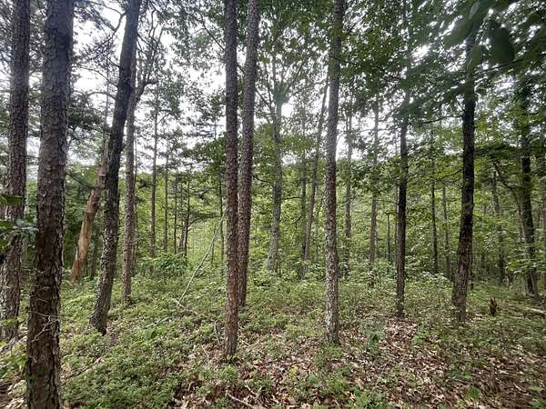 1 Acre of Land for Sale in Ranger, Georgia