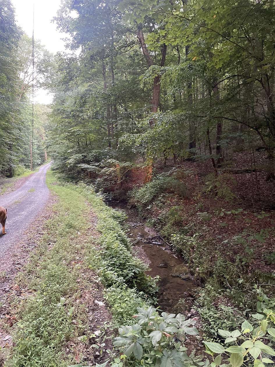 1.14 Acres of Land for Sale in Ranger, Georgia