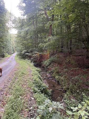 1.14 Acres of Land for Sale in Ranger, Georgia