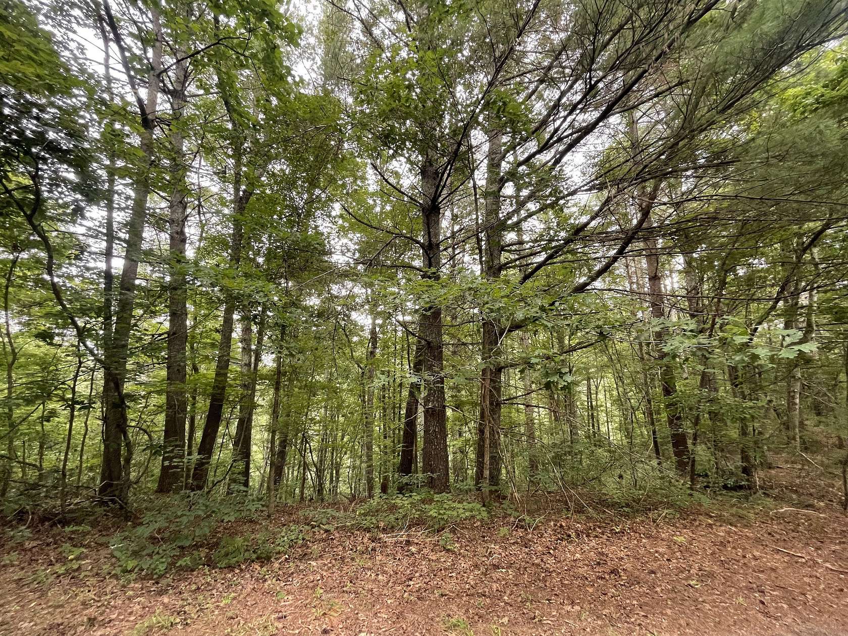 1.32 Acres of Land for Sale in Ranger, Georgia