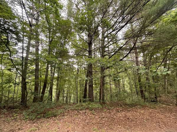 1.32 Acres of Land for Sale in Ranger, Georgia