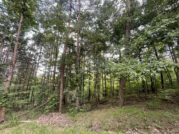 1.23 Acres of Land for Sale in Ranger, Georgia