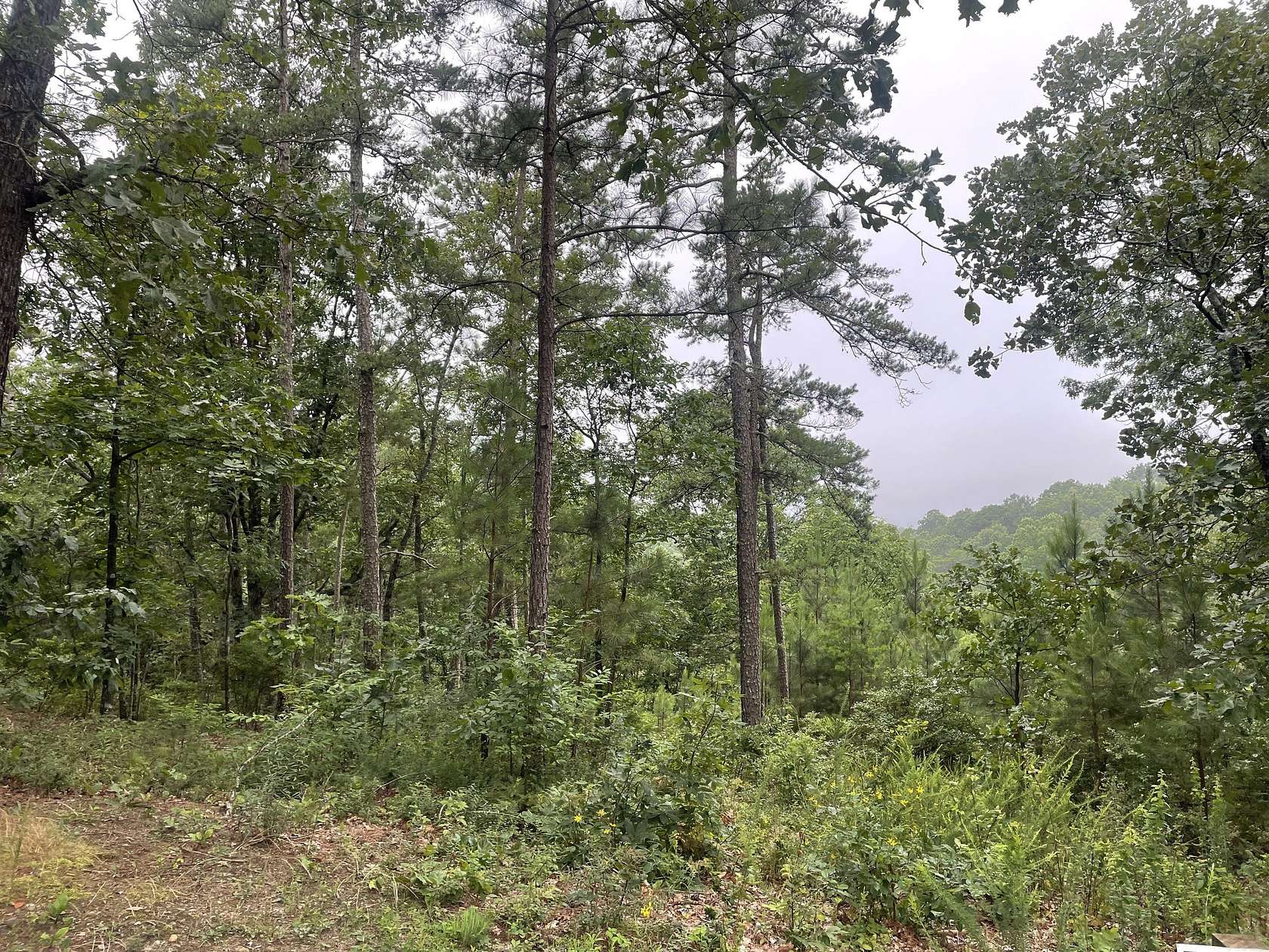 1.63 Acres of Land for Sale in Ranger, Georgia