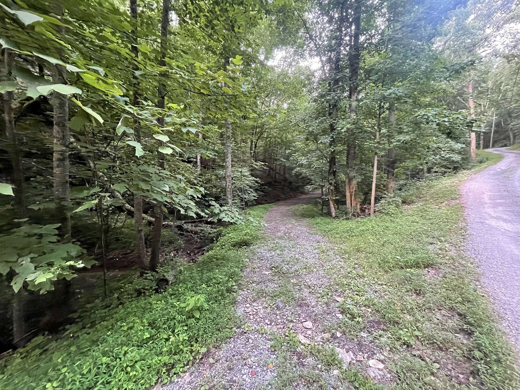 1.25 Acres of Land for Sale in Ranger, Georgia