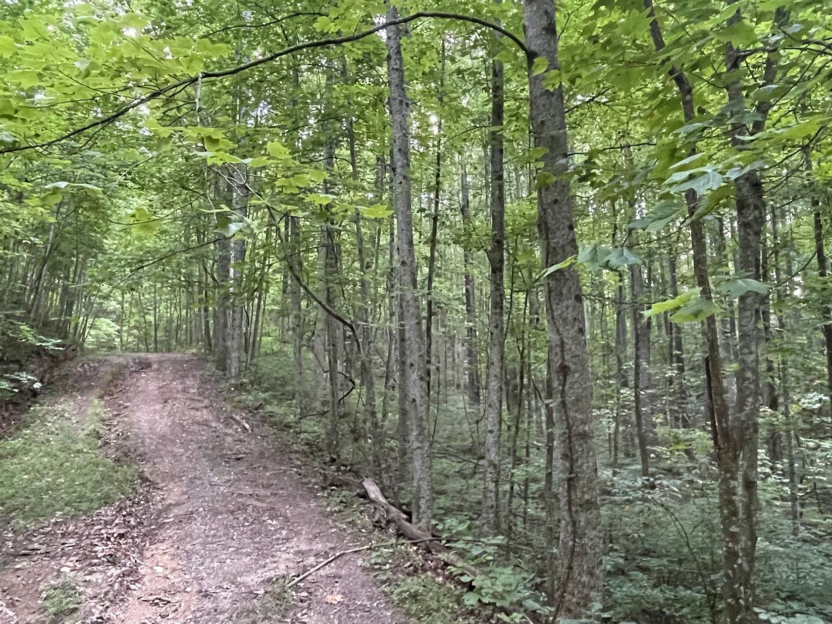 1.12 Acres of Land for Sale in Ranger, Georgia