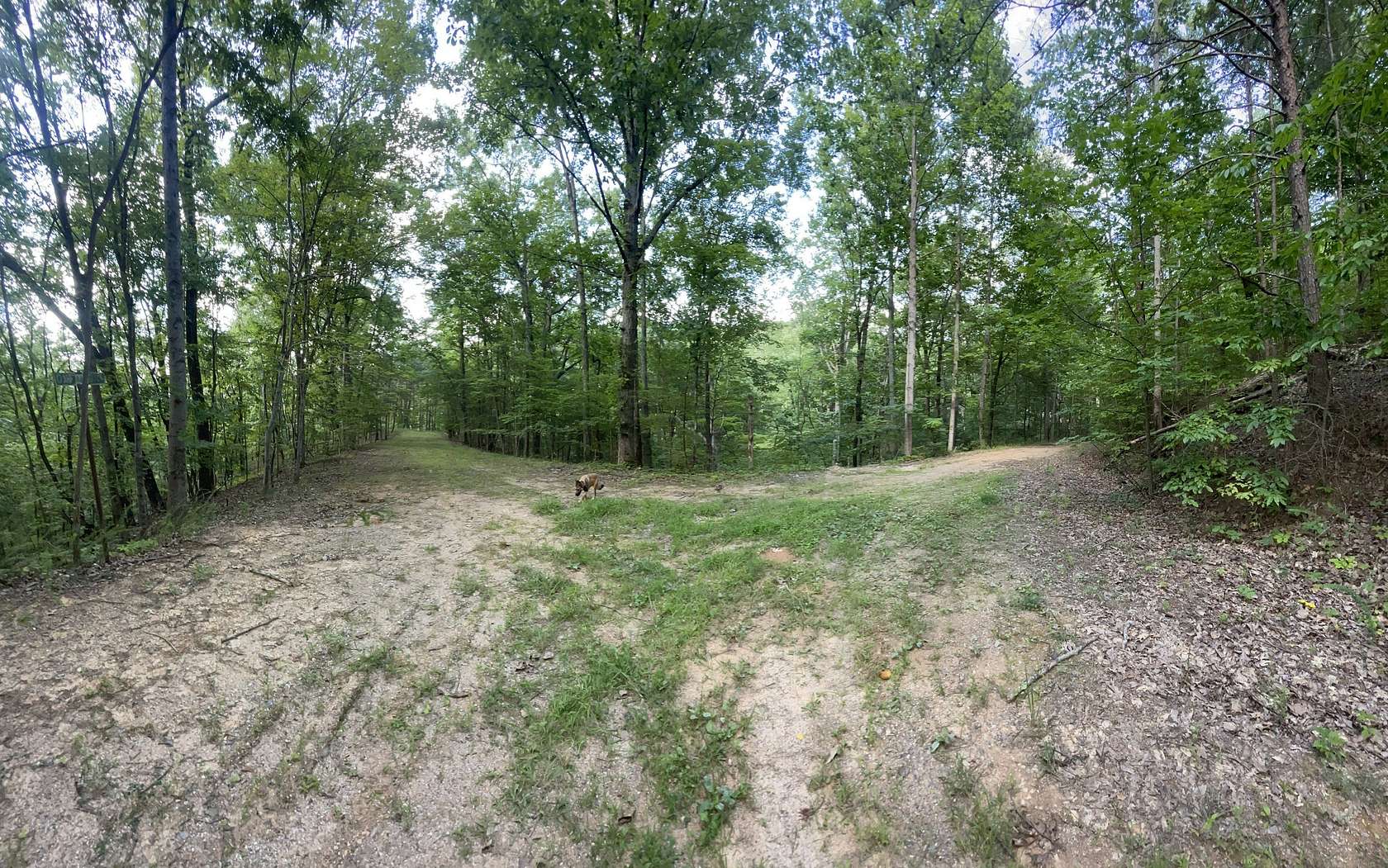 1.64 Acres of Land for Sale in Ranger, Georgia