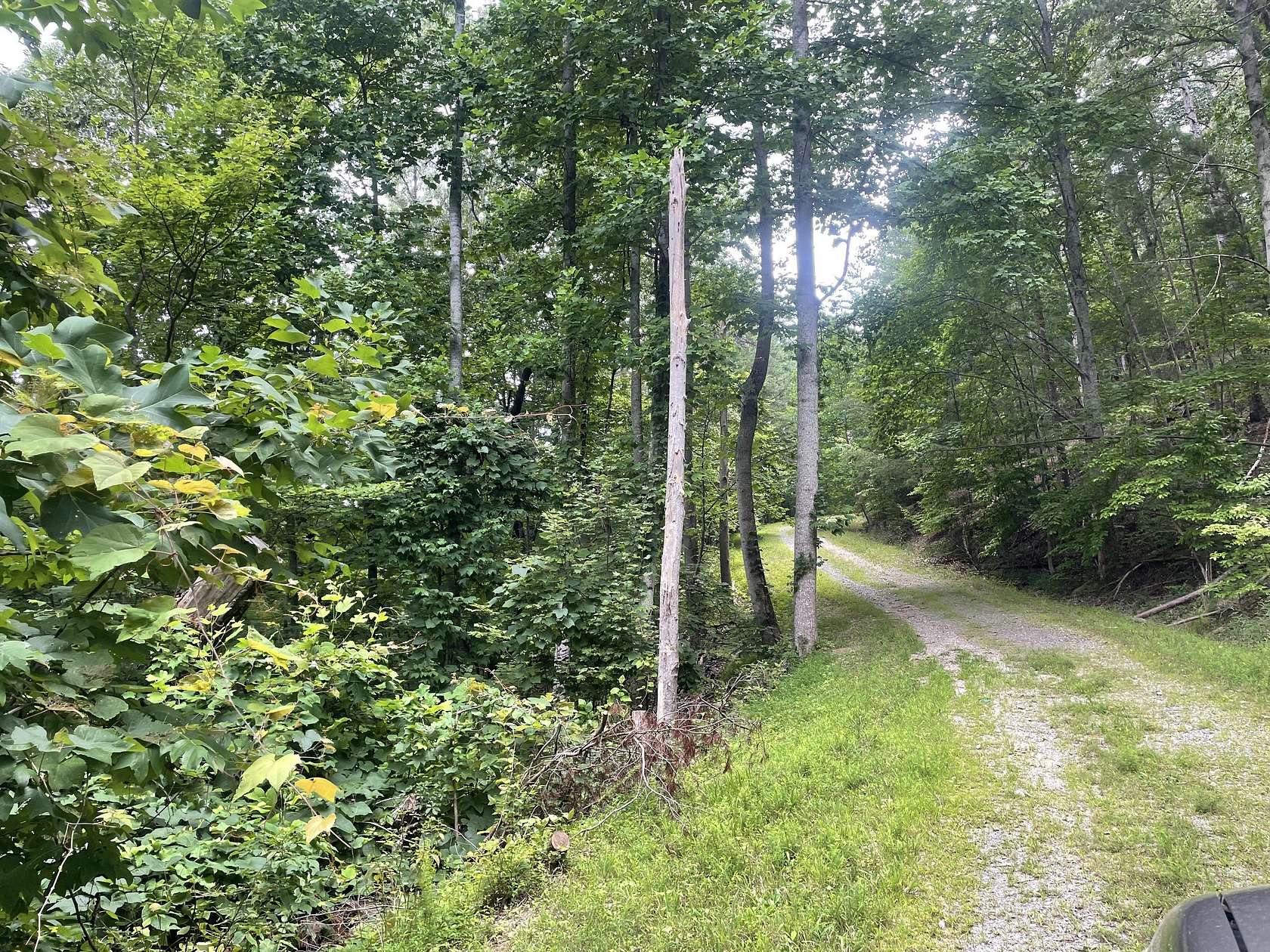 1.16 Acres of Land for Sale in Ranger, Georgia