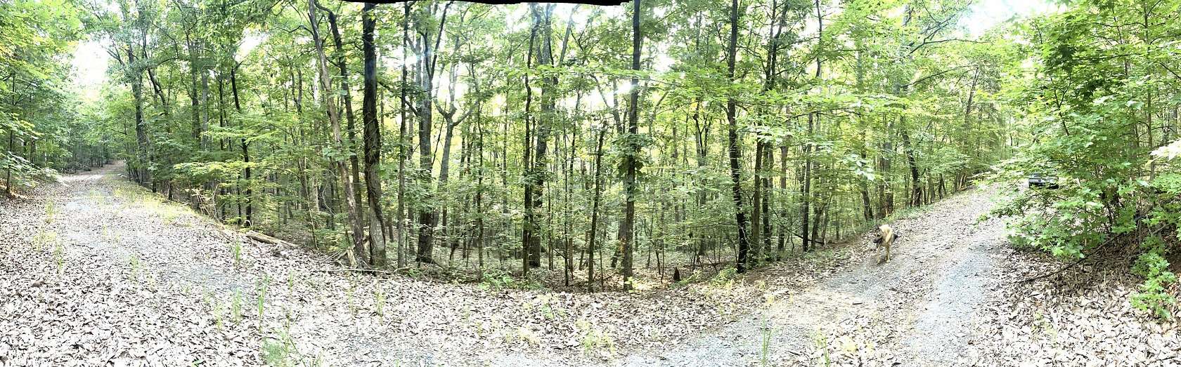 1.68 Acres of Land for Sale in Ranger, Georgia