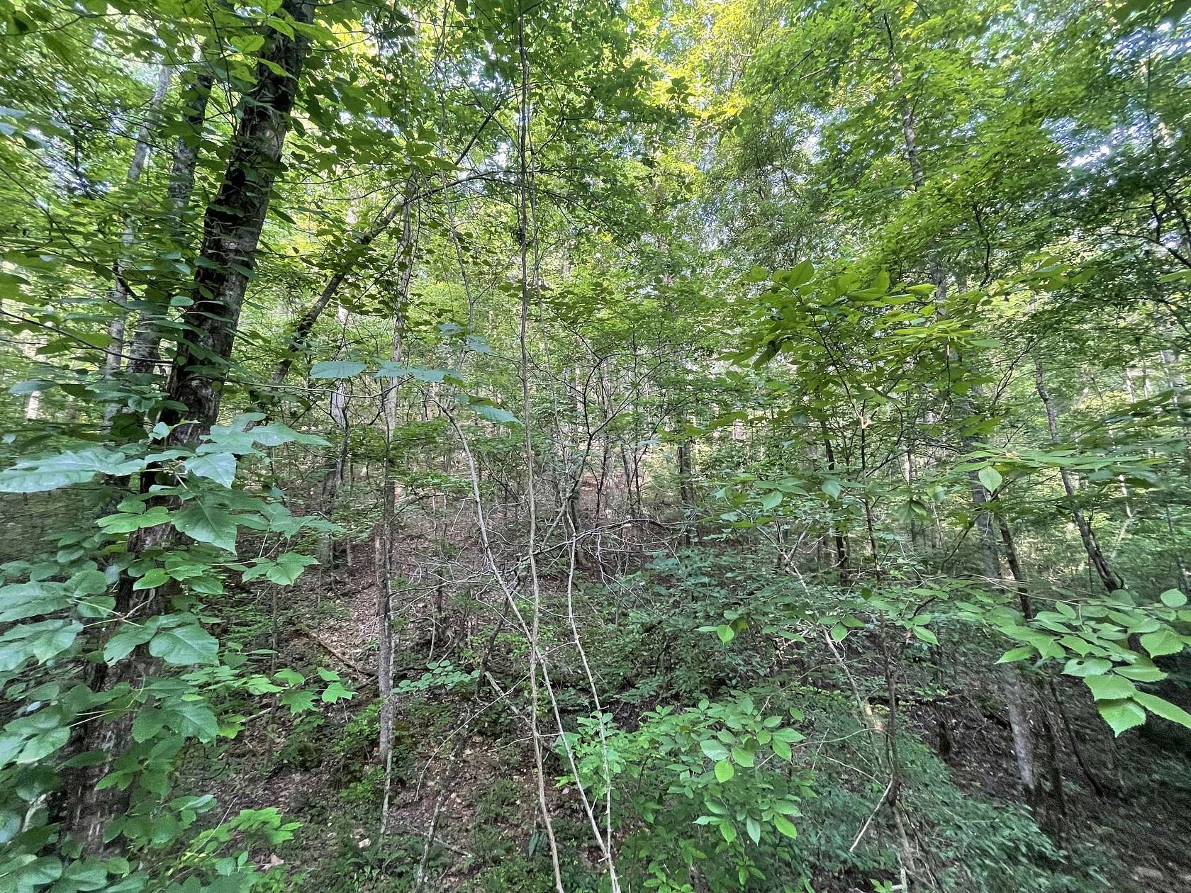 1.84 Acres of Land for Sale in Ranger, Georgia