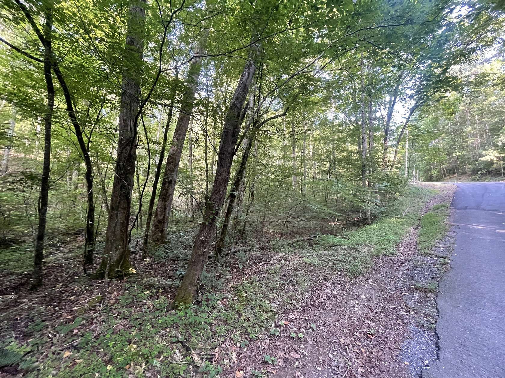 1.55 Acres of Land for Sale in Ranger, Georgia
