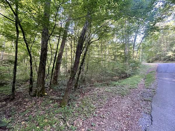 1.55 Acres of Land for Sale in Ranger, Georgia
