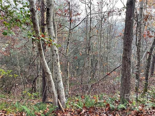 0.51 Acres of Land for Sale in Balsam Grove, North Carolina