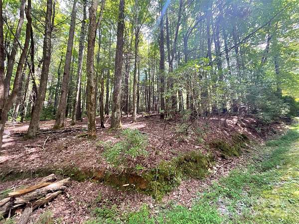 0.5 Acres of Land for Sale in Brevard, North Carolina