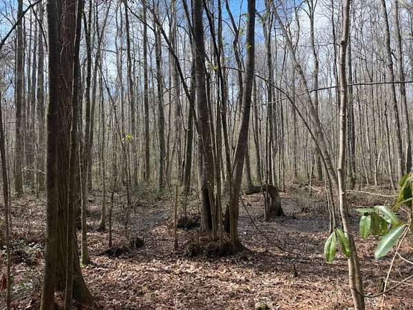 29.5 Acres of Land for Sale in Shulerville, South Carolina