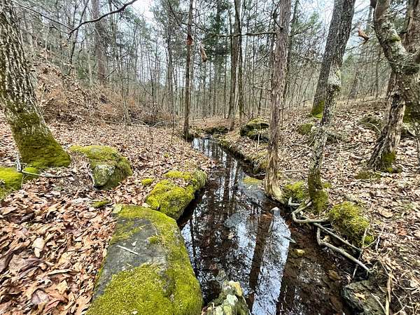 300 Acres of Land for Sale in St. Joe, Arkansas