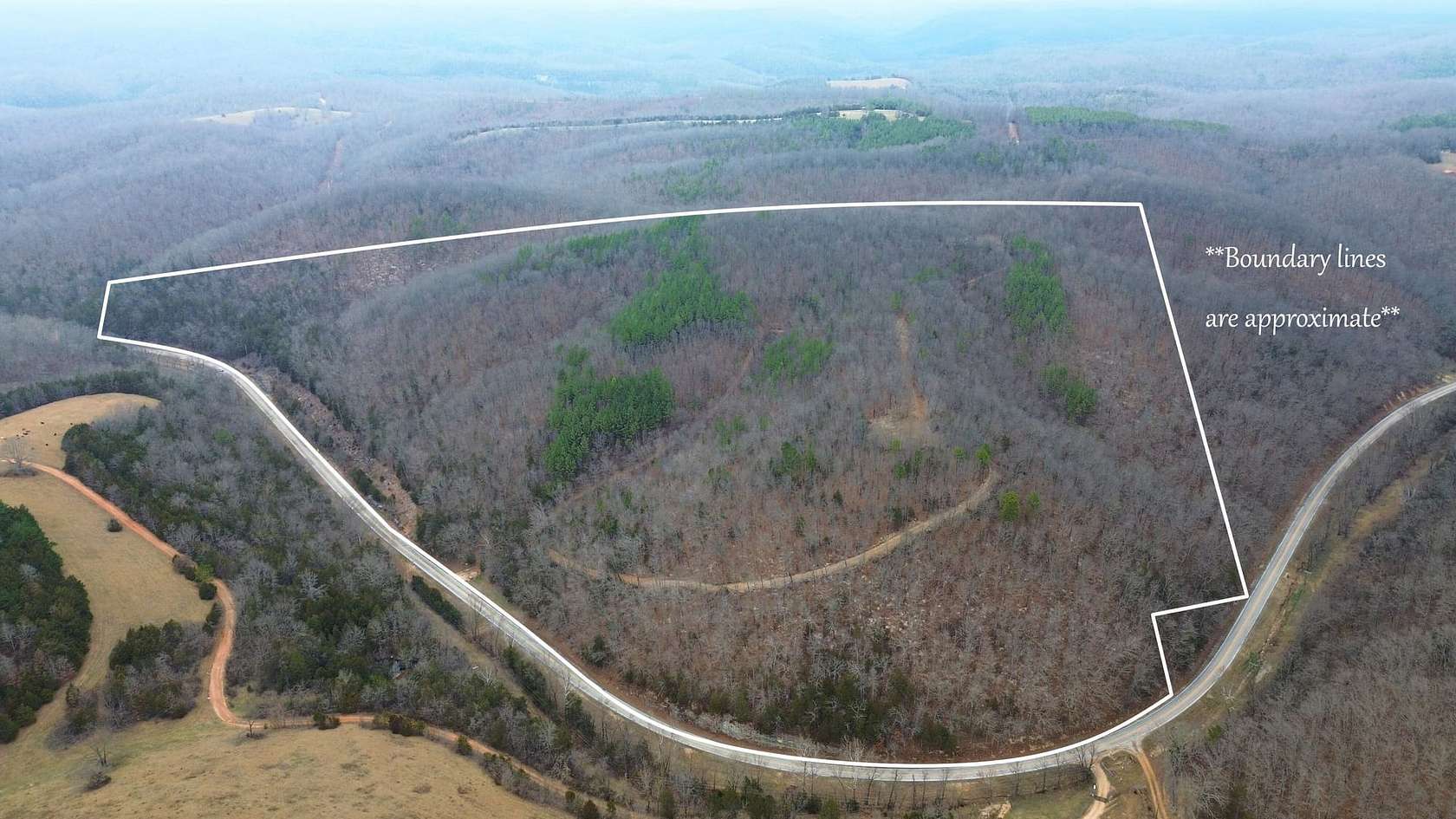 65 Acres of Recreational Land for Sale in Harriet, Arkansas