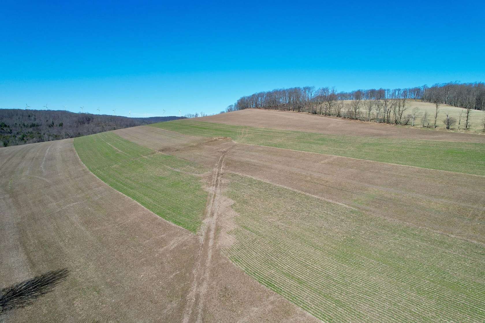 38 Acres of Land for Sale in Meyersdale, Pennsylvania