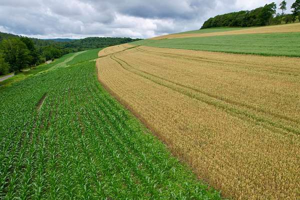38 Acres of Land for Sale in Meyersdale, Pennsylvania
