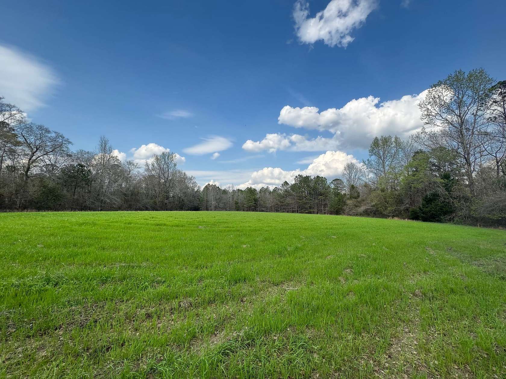 18.2 Acres of Land for Sale in Auburn, Alabama