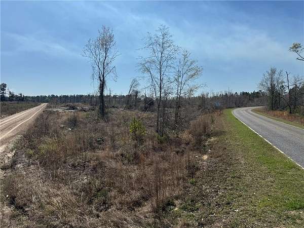 35 Acres of Agricultural & Residential Land for Sale in Alma, Georgia