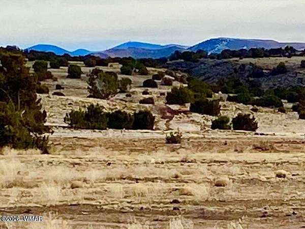 1.22 Acres of Residential Land for Sale in Concho, Arizona