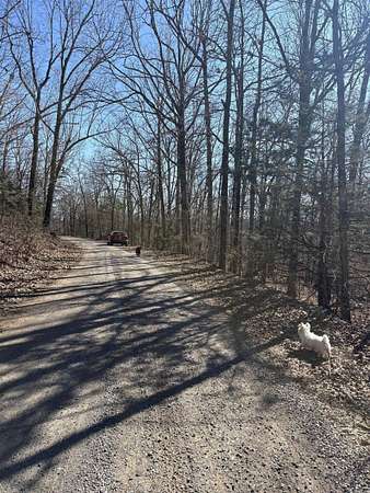 40 Acres of Recreational Land for Sale in Harriet, Arkansas