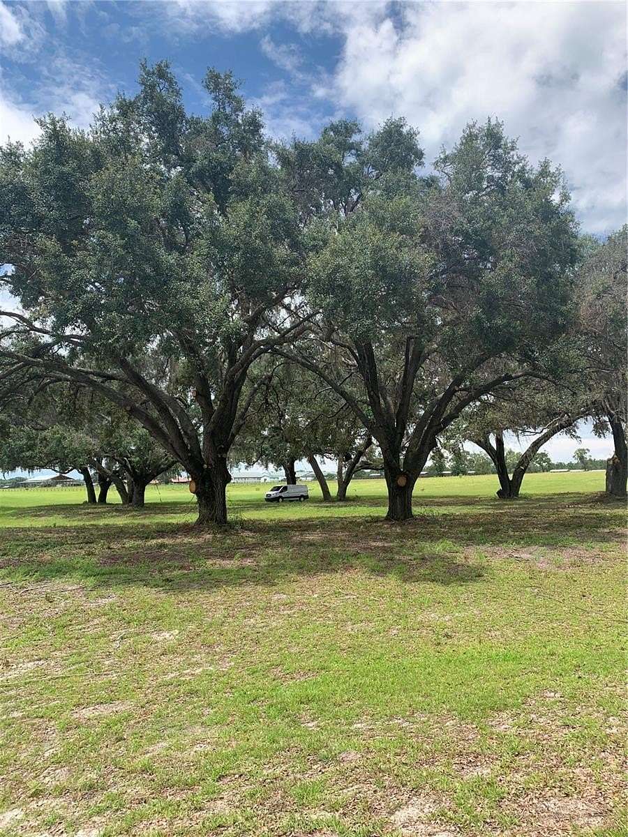 14 Acres of Land for Sale in Anthony, Florida