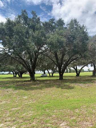 14 Acres of Land for Sale in Anthony, Florida
