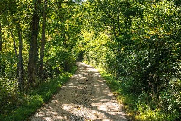 31.8 Acres of Recreational & Residential Land for Sale in Plainwell, Michigan