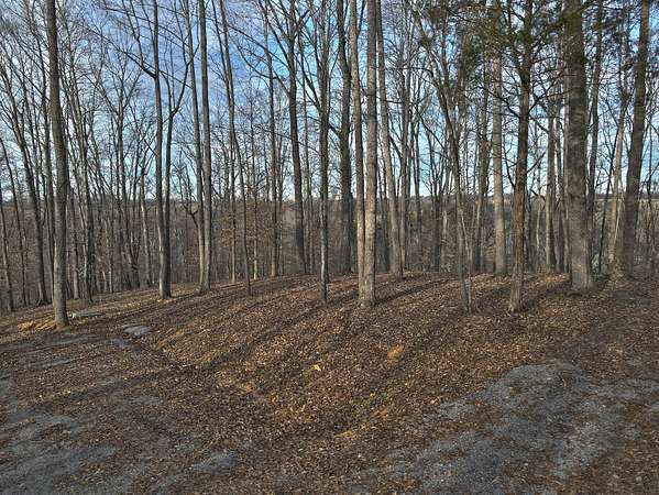 0.77 Acres of Residential Land for Sale in Russell Springs, Kentucky
