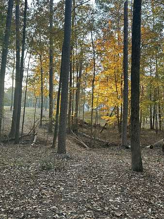 5.78 Acres of Land for Sale in Lincolnton, Georgia