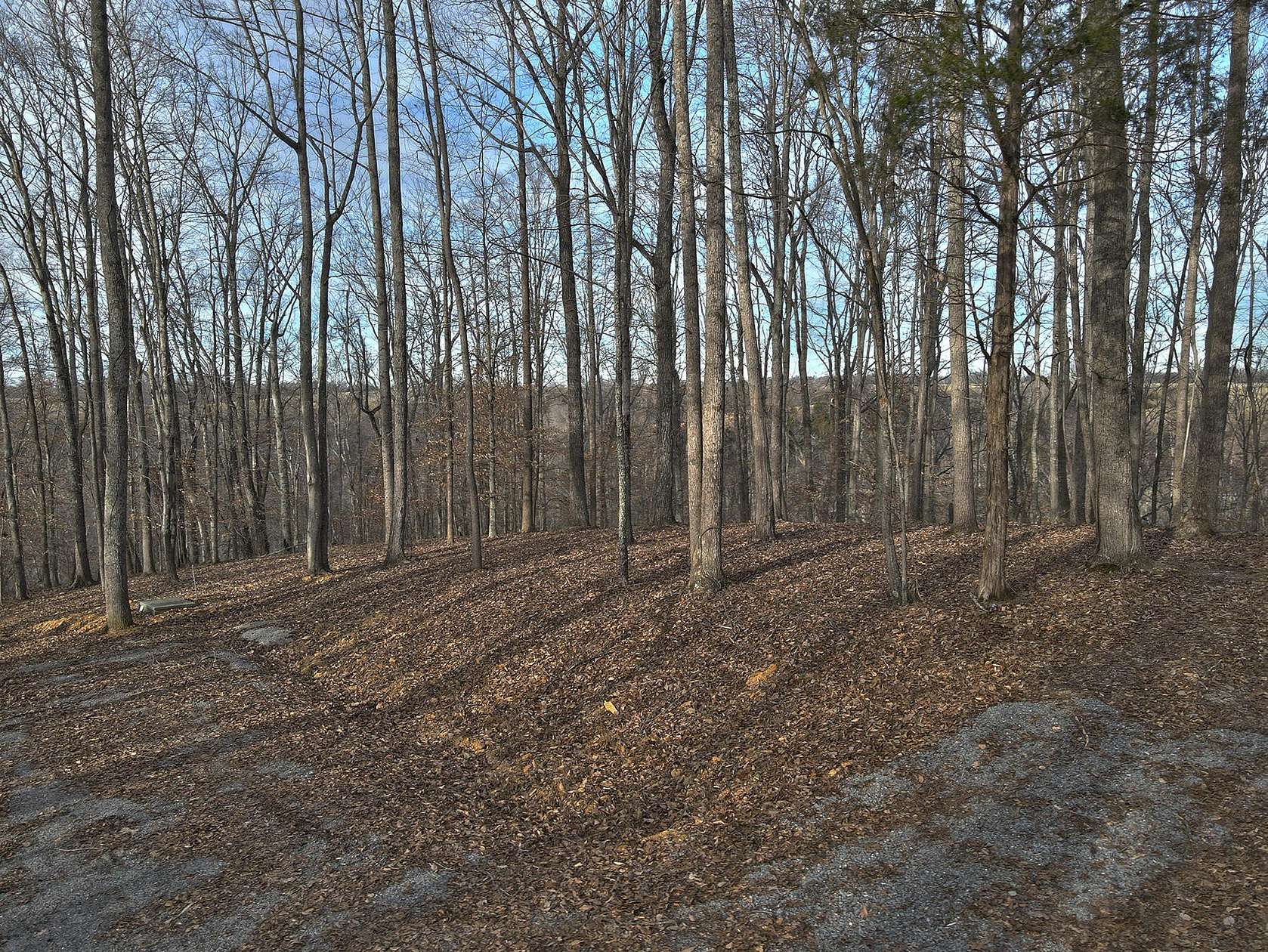 1.79 Acres of Residential Land for Sale in Russell Springs, Kentucky