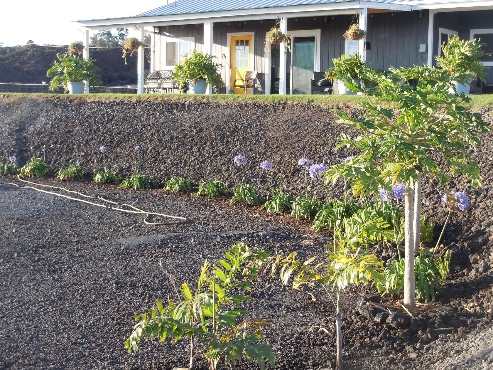 3 Acres of Land with Home for Sale in Hawaiian Ocean View, Hawaii