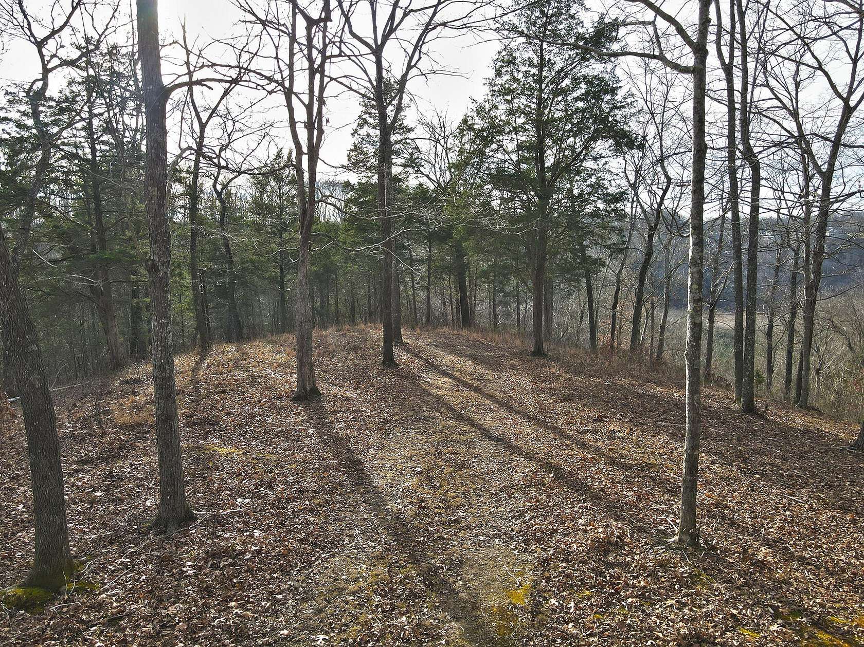 3 Acres of Residential Land for Sale in Russell Springs, Kentucky