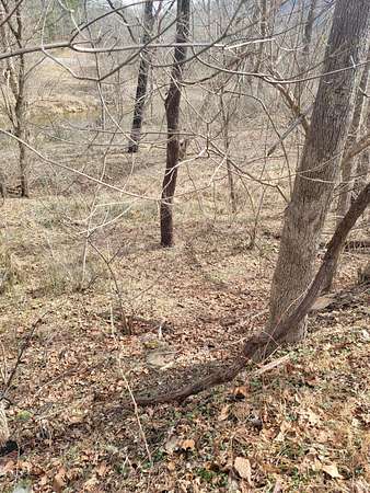 12 Acres of Recreational & Residential Land for Sale in Boones Mill, Virginia